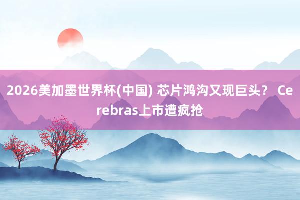 2026美加墨世界杯(中國) 芯片鴻溝又現巨頭？ Cerebras上市遭瘋搶