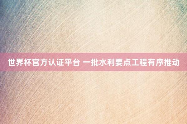 世界杯官方認(rèn)證平臺 一批水利要點工程有序推動