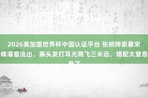 2026美加墨世界杯中國認證平臺 張婉婷家暴宋寧峰灌音流出，薅頭發打耳光踢飛三米遠，婚配太窒息了