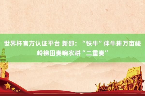 世界杯官方認證平臺 新邵：“鐵牛”伴牛耕萬畝峻嶺梯田奏響農耕“二重奏”