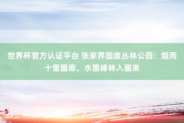 世界杯官方認(rèn)證平臺(tái) 張家界國(guó)度叢林公園:煙雨十里畫廊,水墨峰林入畫來(lái)