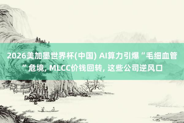 2026美加墨世界杯(中國) AI算力引爆“毛細(xì)血管”危境， MLCC價錢回轉(zhuǎn)， 這些公司逆風(fēng)口