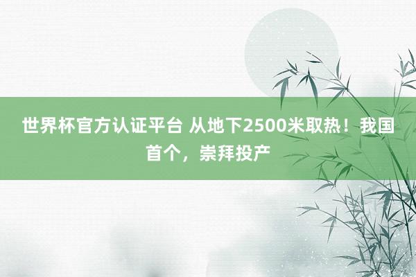 世界杯官方認(rèn)證平臺(tái) 從地下2500米取熱！我國(guó)首個(gè)，崇拜投產(chǎn)