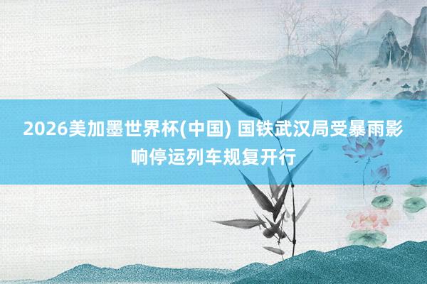 2026美加墨世界杯(中國(guó)) 國(guó)鐵武漢局受暴雨影響停運(yùn)列車規(guī)復(fù)開行