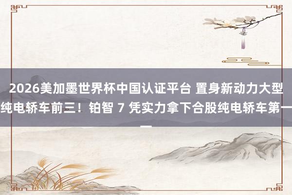 2026美加墨世界杯中國認證平臺 置身新動力大型純電轎車前三！鉑智 7 憑實力拿下合股純電轎車第一