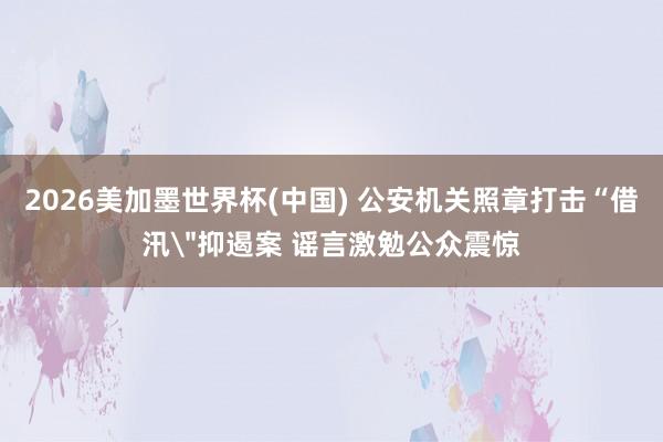 2026美加墨世界杯(中國) 公安機關照章打擊“借汛