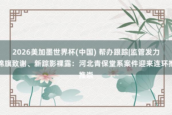 2026美加墨世界杯(中國) 幫辦跟蹤|監管發力、錦旗致謝、新蹤影裸露：河北青保堂系案件迎來連環推崇