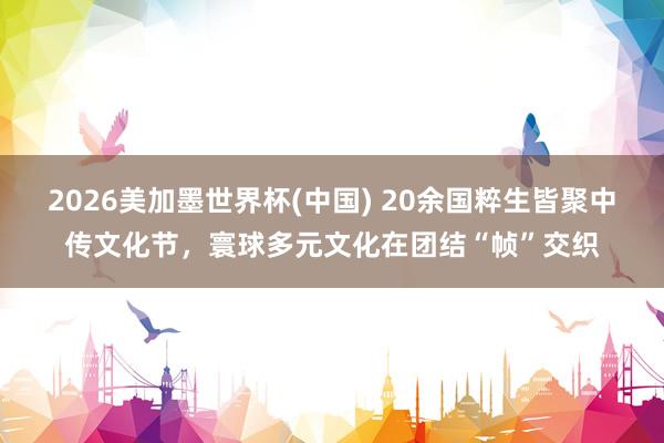 2026美加墨世界杯(中國) 20余國粹生皆聚中傳文化節，寰球多元文化在團結“幀”交織