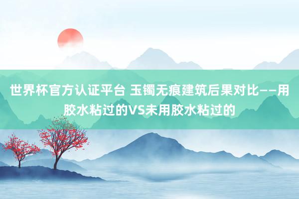 世界杯官方認證平臺 玉鐲無痕建筑后果對比——用膠水粘過的VS未用膠水粘過的